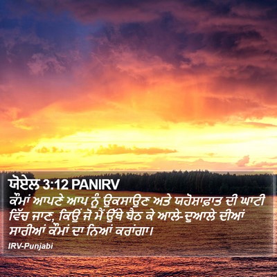 ਯੋਏਲ 3:12 PANIRV Bible Verse Image