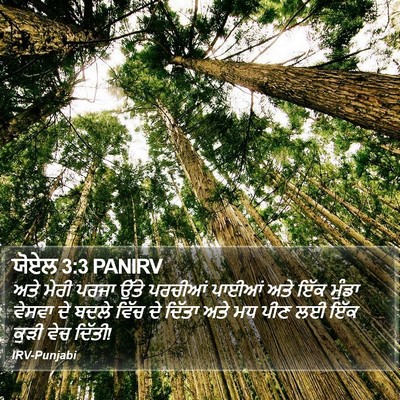 ਯੋਏਲ 3:3 PANIRV Bible Verse Image