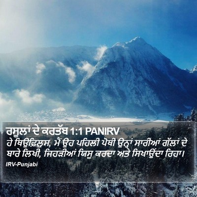 ਰਸੂਲਾਂ ਦੇ ਕਰਤੱਬ 1:1 PANIRV Bible Verse Image