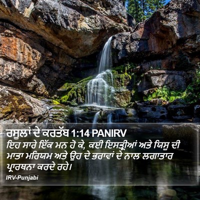 ਰਸੂਲਾਂ ਦੇ ਕਰਤੱਬ 1:14 PANIRV Bible Verse Image
