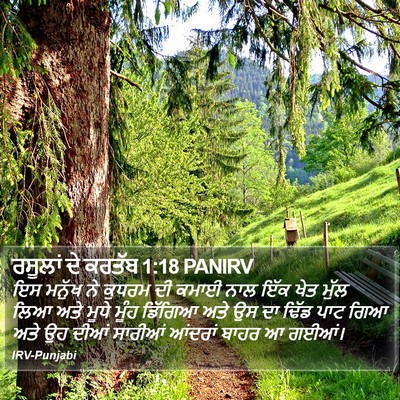 ਰਸੂਲਾਂ ਦੇ ਕਰਤੱਬ 1:18 PANIRV Bible Verse Image