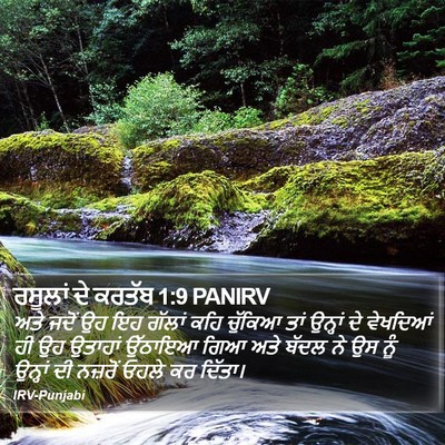 ਰਸੂਲਾਂ ਦੇ ਕਰਤੱਬ 1:9 PANIRV Bible Verse Image