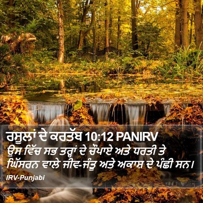 ਰਸੂਲਾਂ ਦੇ ਕਰਤੱਬ 10:12 PANIRV Bible Verse Image
