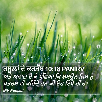 ਰਸੂਲਾਂ ਦੇ ਕਰਤੱਬ 10:18 PANIRV Bible Verse Image