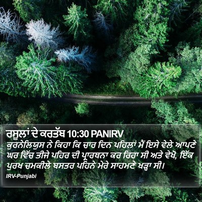 ਰਸੂਲਾਂ ਦੇ ਕਰਤੱਬ 10:30 PANIRV Bible Verse Image