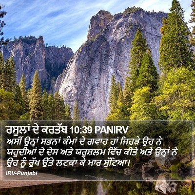 ਰਸੂਲਾਂ ਦੇ ਕਰਤੱਬ 10:39 PANIRV Bible Verse Image