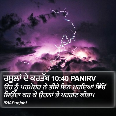 ਰਸੂਲਾਂ ਦੇ ਕਰਤੱਬ 10:40 PANIRV Bible Verse Image