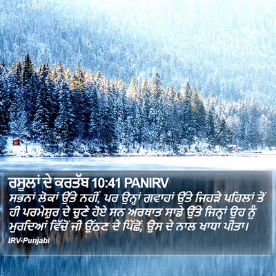 ਰਸੂਲਾਂ ਦੇ ਕਰਤੱਬ 10:41 PANIRV Bible Verse Image