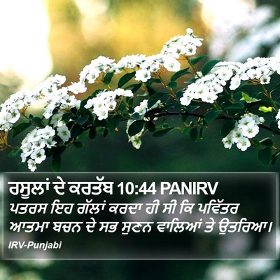 ਰਸੂਲਾਂ ਦੇ ਕਰਤੱਬ 10:44 PANIRV Bible Verse Image