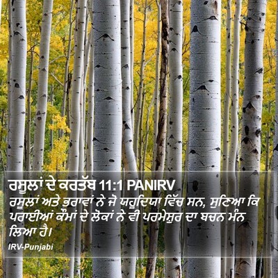 ਰਸੂਲਾਂ ਦੇ ਕਰਤੱਬ 11:1 PANIRV Bible Verse Image
