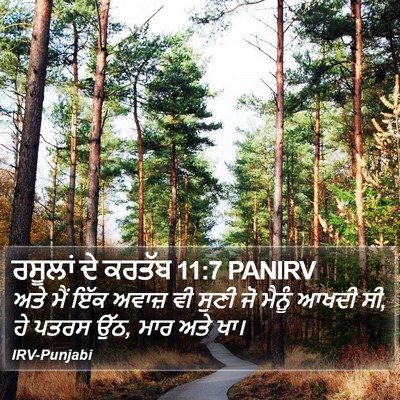 ਰਸੂਲਾਂ ਦੇ ਕਰਤੱਬ 11:7 PANIRV Bible Verse Image