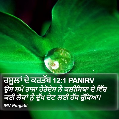 ਰਸੂਲਾਂ ਦੇ ਕਰਤੱਬ 12:1 PANIRV Bible Verse Image