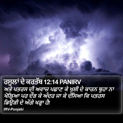 ਰਸੂਲਾਂ ਦੇ ਕਰਤੱਬ 12:14 PANIRV Bible Verse Image