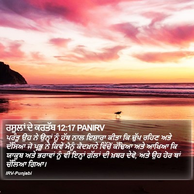 ਰਸੂਲਾਂ ਦੇ ਕਰਤੱਬ 12:17 PANIRV Bible Verse Image