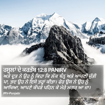 ਰਸੂਲਾਂ ਦੇ ਕਰਤੱਬ 12:8 PANIRV Bible Verse Image