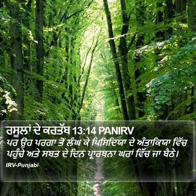 ਰਸੂਲਾਂ ਦੇ ਕਰਤੱਬ 13:14 PANIRV Bible Verse Image