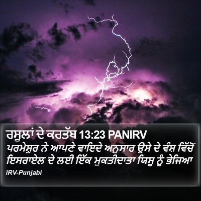 ਰਸੂਲਾਂ ਦੇ ਕਰਤੱਬ 13:23 PANIRV Bible Verse Image