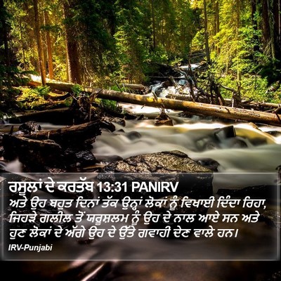 ਰਸੂਲਾਂ ਦੇ ਕਰਤੱਬ 13:31 PANIRV Bible Verse Image
