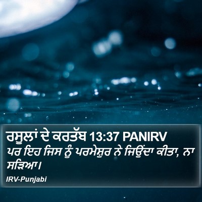 ਰਸੂਲਾਂ ਦੇ ਕਰਤੱਬ 13:37 PANIRV Bible Verse Image