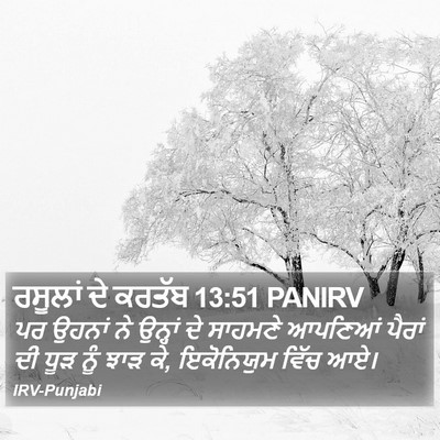 ਰਸੂਲਾਂ ਦੇ ਕਰਤੱਬ 13:51 PANIRV Bible Verse Image