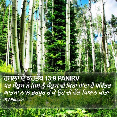 ਰਸੂਲਾਂ ਦੇ ਕਰਤੱਬ 13:9 PANIRV Bible Verse Image