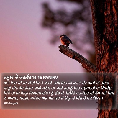 ਰਸੂਲਾਂ ਦੇ ਕਰਤੱਬ 14:15 PANIRV Bible Verse Image