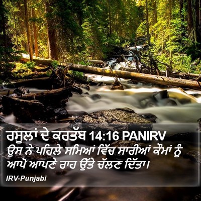 ਰਸੂਲਾਂ ਦੇ ਕਰਤੱਬ 14:16 PANIRV Bible Verse Image