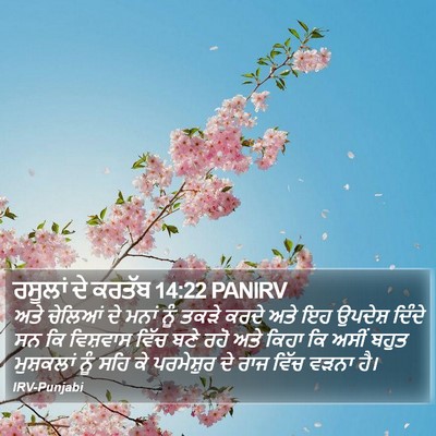 ਰਸੂਲਾਂ ਦੇ ਕਰਤੱਬ 14:22 PANIRV Bible Verse Image