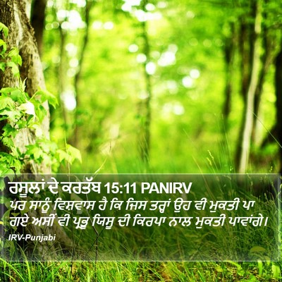 ਰਸੂਲਾਂ ਦੇ ਕਰਤੱਬ 15:11 PANIRV Bible Verse Image