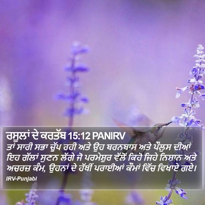 ਰਸੂਲਾਂ ਦੇ ਕਰਤੱਬ 15:12 PANIRV Bible Verse Image