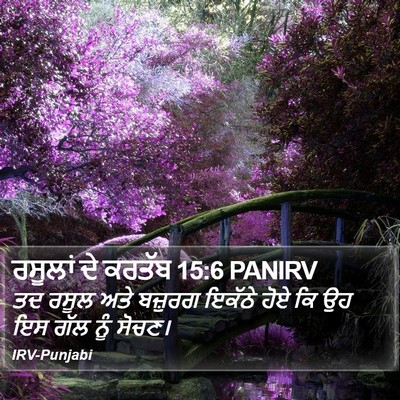 ਰਸੂਲਾਂ ਦੇ ਕਰਤੱਬ 15:6 PANIRV Bible Verse Image