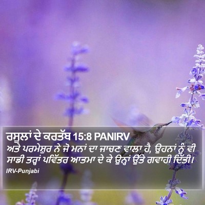 ਰਸੂਲਾਂ ਦੇ ਕਰਤੱਬ 15:8 PANIRV Bible Verse Image