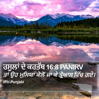 ਰਸੂਲਾਂ ਦੇ ਕਰਤੱਬ 16:8 PANIRV Bible Verse Image