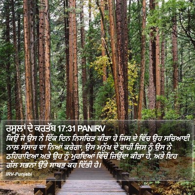 ਰਸੂਲਾਂ ਦੇ ਕਰਤੱਬ 17:31 PANIRV Bible Verse Image