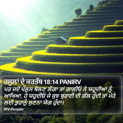 ਰਸੂਲਾਂ ਦੇ ਕਰਤੱਬ 18:14 PANIRV Bible Verse Image