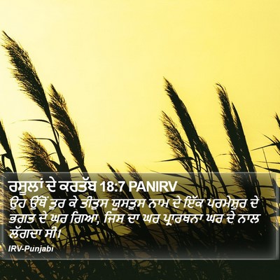 ਰਸੂਲਾਂ ਦੇ ਕਰਤੱਬ 18:7 PANIRV Bible Verse Image