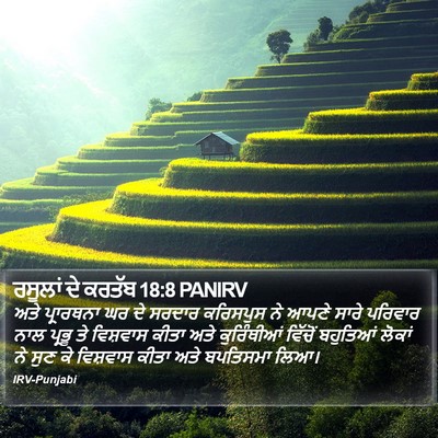 ਰਸੂਲਾਂ ਦੇ ਕਰਤੱਬ 18:8 PANIRV Bible Verse Image