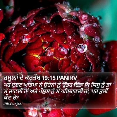 ਰਸੂਲਾਂ ਦੇ ਕਰਤੱਬ 19:15 PANIRV Bible Verse Image