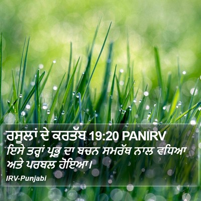 ਰਸੂਲਾਂ ਦੇ ਕਰਤੱਬ 19:20 PANIRV Bible Verse Image
