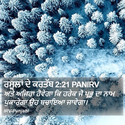 ਰਸੂਲਾਂ ਦੇ ਕਰਤੱਬ 2:21 PANIRV Bible Verse Image