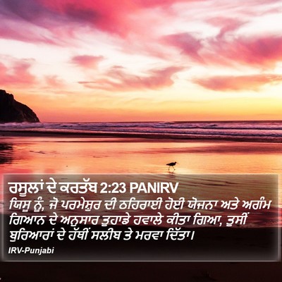 ਰਸੂਲਾਂ ਦੇ ਕਰਤੱਬ 2:23 PANIRV Bible Verse Image