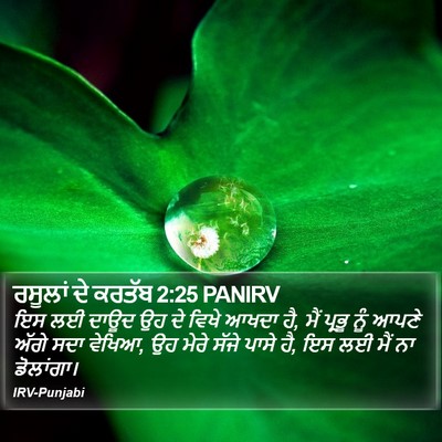 ਰਸੂਲਾਂ ਦੇ ਕਰਤੱਬ 2:25 PANIRV Bible Verse Image