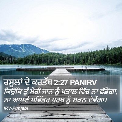ਰਸੂਲਾਂ ਦੇ ਕਰਤੱਬ 2:27 PANIRV Bible Verse Image