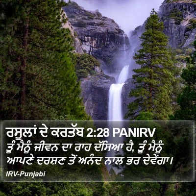 ਰਸੂਲਾਂ ਦੇ ਕਰਤੱਬ 2:28 PANIRV Bible Verse Image