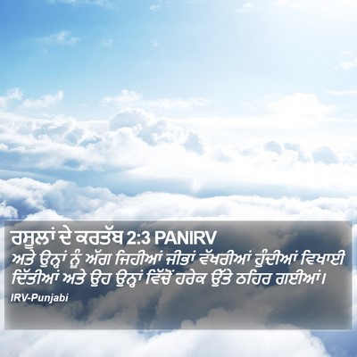 ਰਸੂਲਾਂ ਦੇ ਕਰਤੱਬ 2:3 PANIRV Bible Verse Image