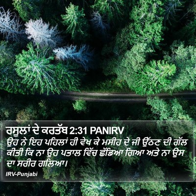 ਰਸੂਲਾਂ ਦੇ ਕਰਤੱਬ 2:31 PANIRV Bible Verse Image