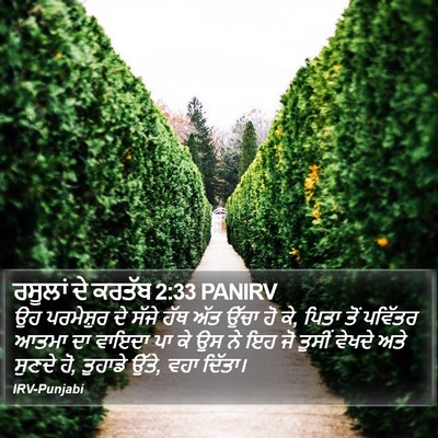 ਰਸੂਲਾਂ ਦੇ ਕਰਤੱਬ 2:33 PANIRV Bible Verse Image
