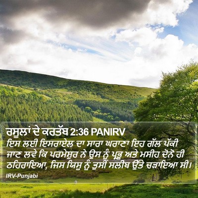 ਰਸੂਲਾਂ ਦੇ ਕਰਤੱਬ 2:36 PANIRV Bible Verse Image