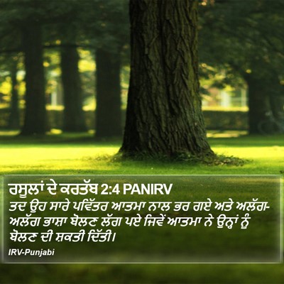 ਰਸੂਲਾਂ ਦੇ ਕਰਤੱਬ 2:4 PANIRV Bible Verse Image