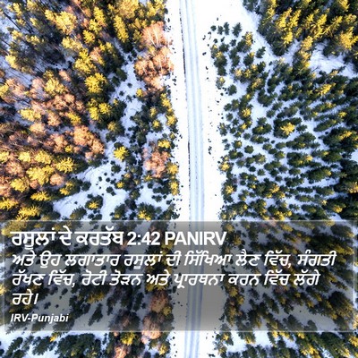 ਰਸੂਲਾਂ ਦੇ ਕਰਤੱਬ 2:42 PANIRV Bible Verse Image